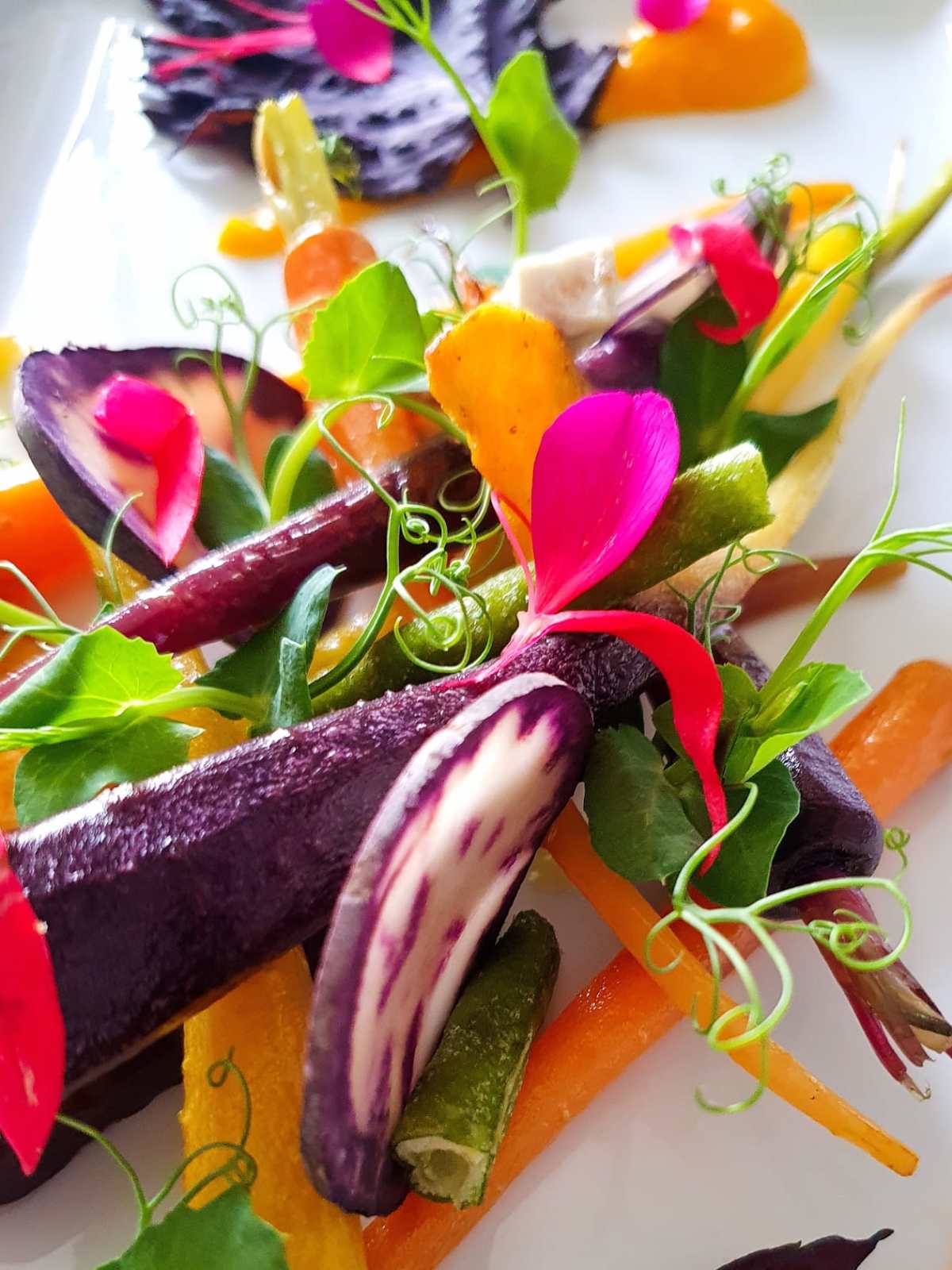 Your plate, your canva. Recipes by Chef Abram