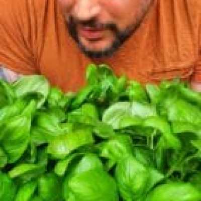 a man sitting at a table with lettuce