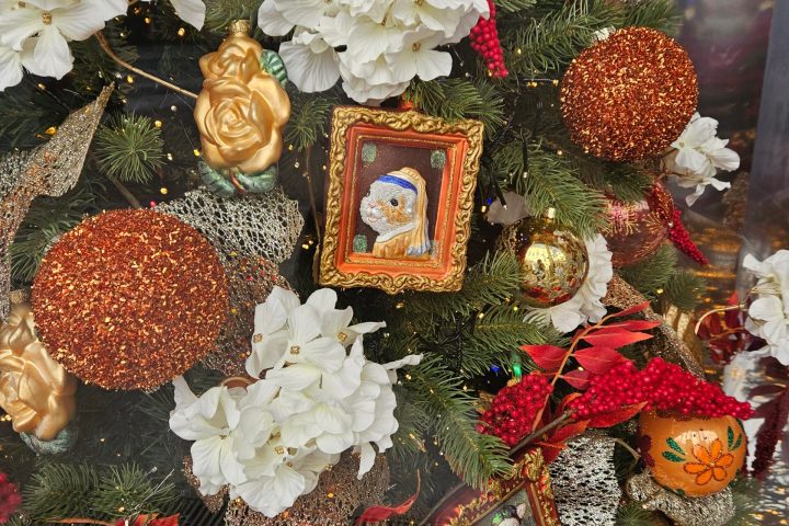 a bunch of different types of food