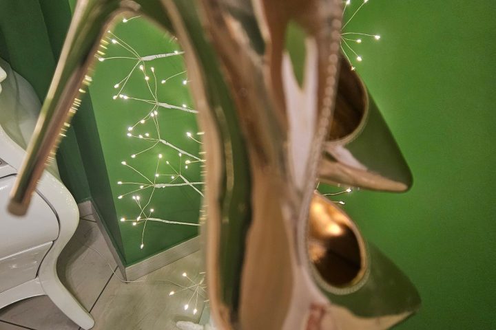 a close up of a flower