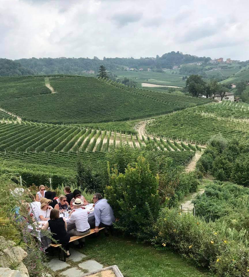 Discovering Piedmont