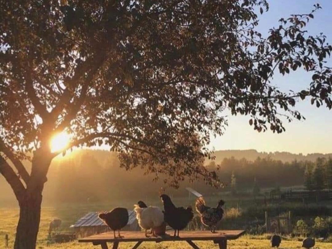 Culinary Vacation in Piedmont, Italy