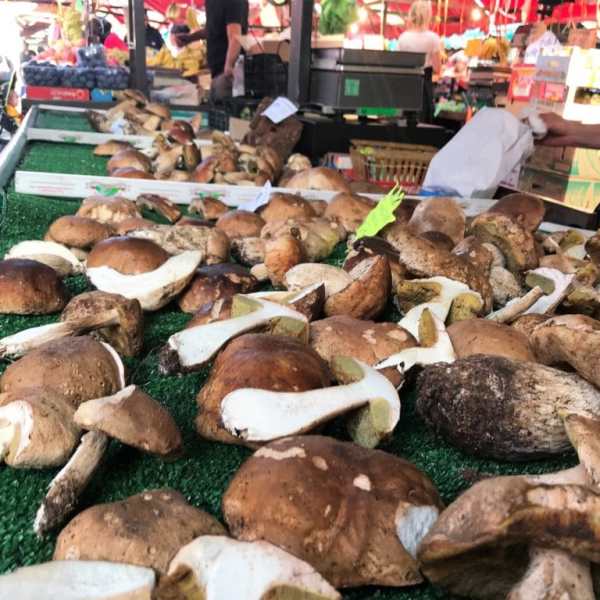 Fresh mushrooms on display at a market stall with green turf and people in the background.