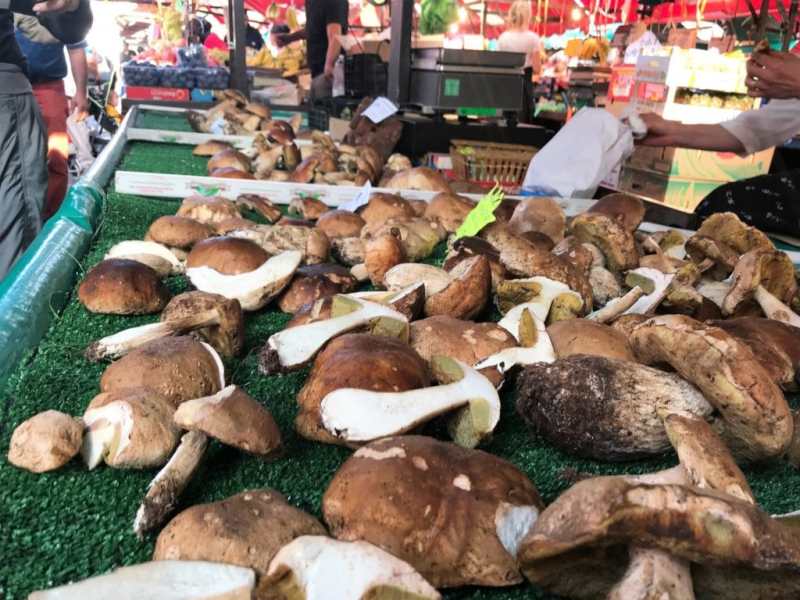 Fresh mushrooms on display at a market stall with green turf and people in the background.