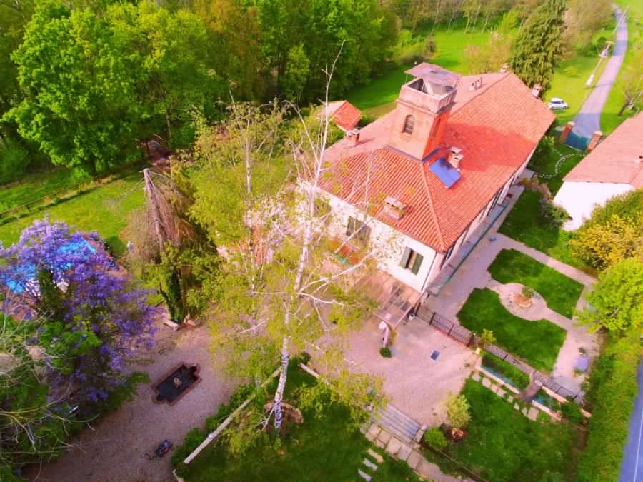 a close up of a tree