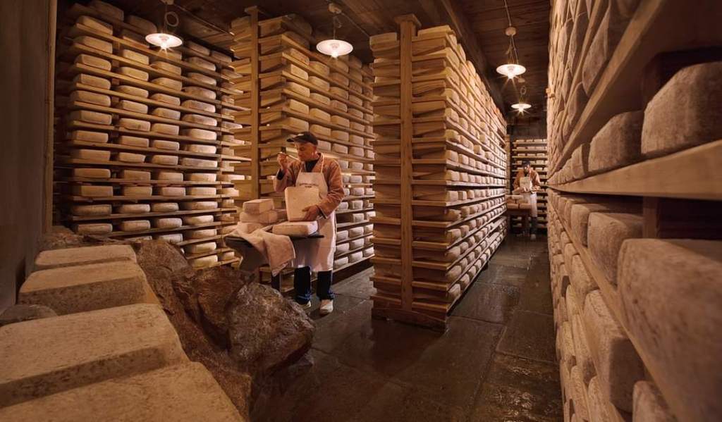 Cheese Experience and Tasting in Piedmont
