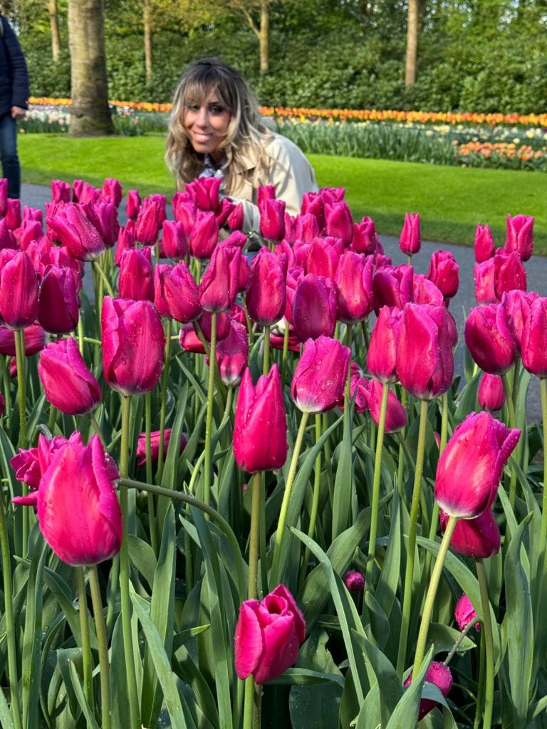 a group of colorful flowers in a field