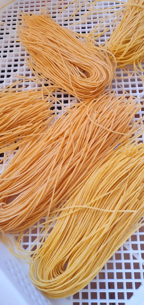 a close up of a tajarin pasta