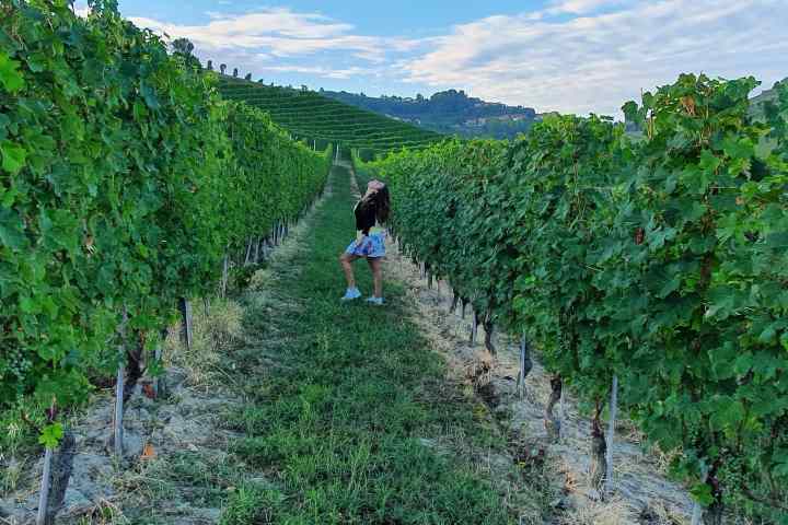 a group of people walking on a grassy hill