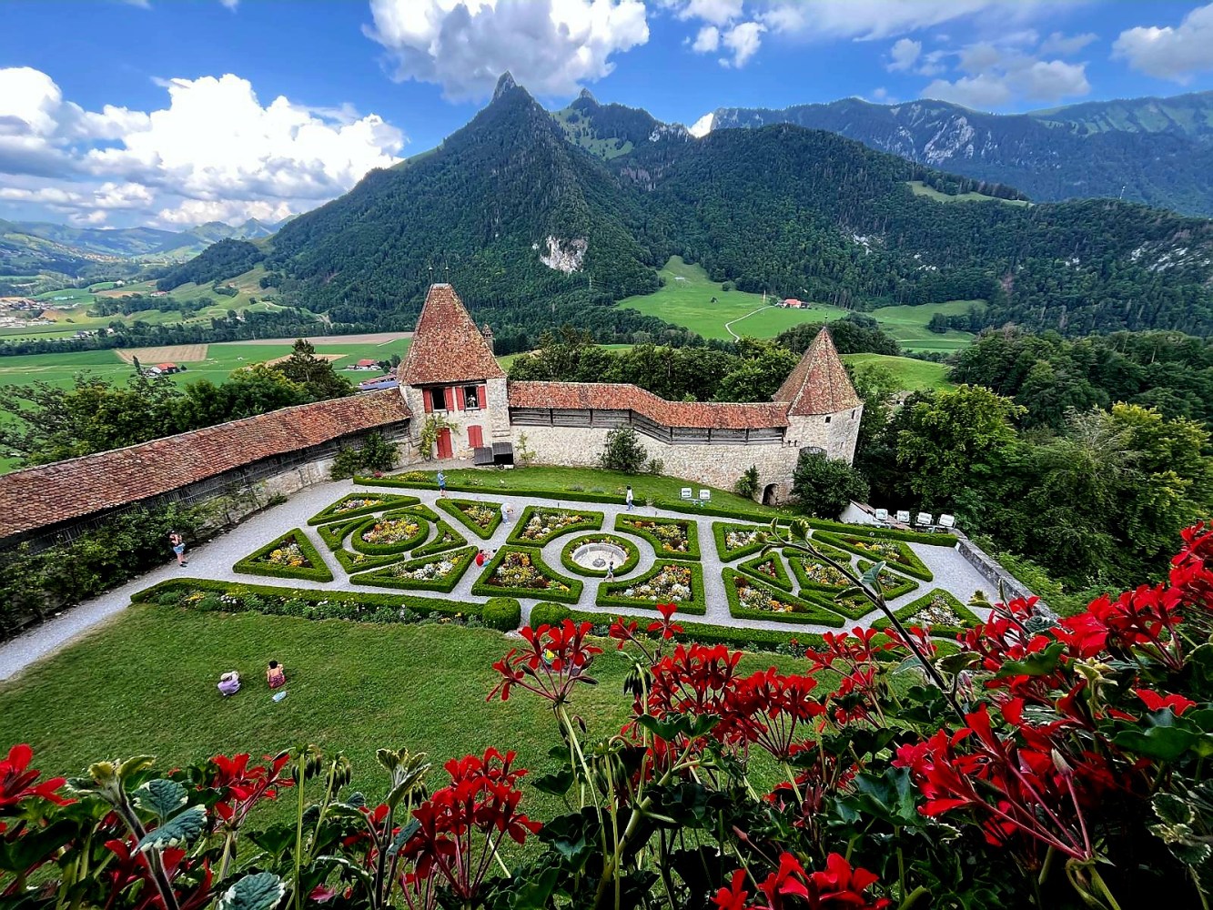 a garden with a mountain in the background