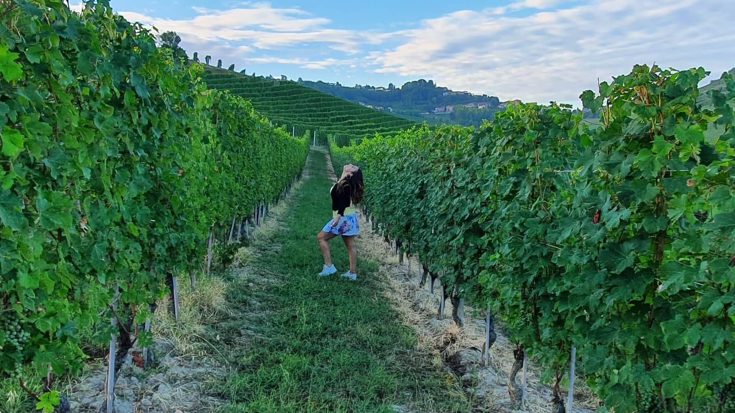 a group of people walking on a grassy hill