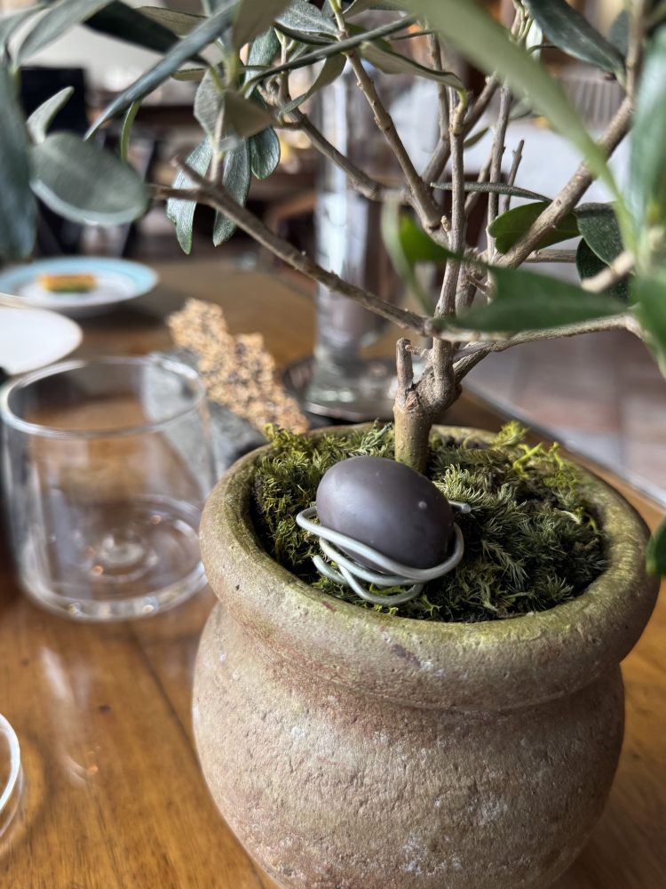 Potted plant with a pebble and moss on a wooden table.